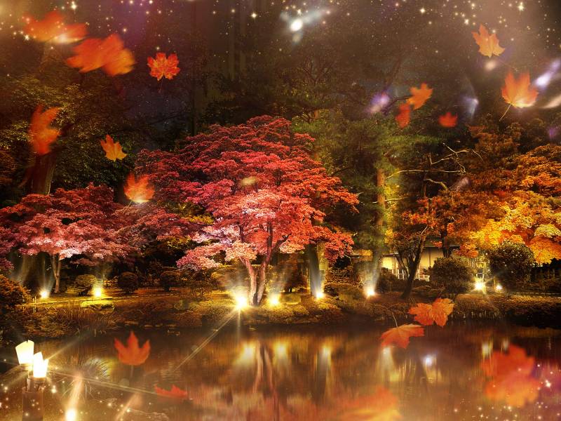 「中島公園紅葉ライトアップ」入場券付き宿泊プラン